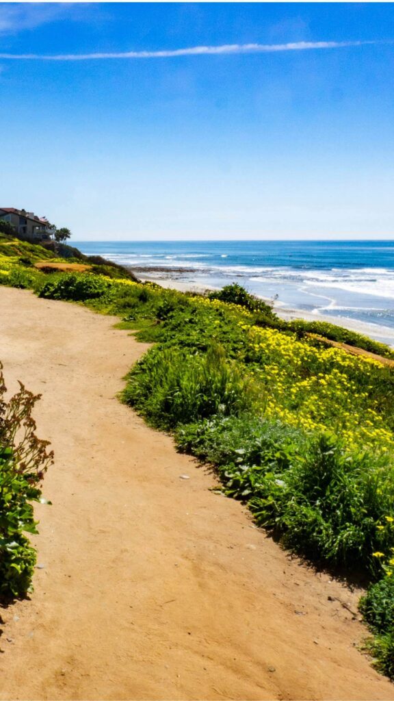 carlsbad flower fields