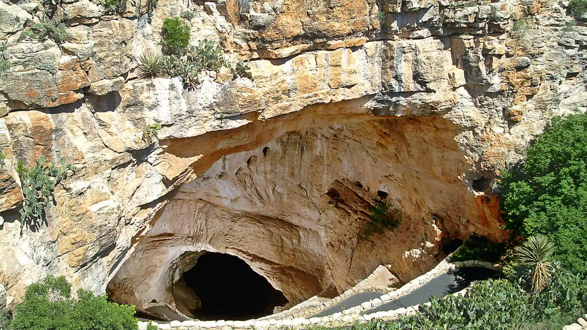 The Carlsbad Caverns National Park