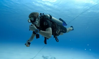 Best Carlsbad Scuba Diving Spots for Every Level of Diver