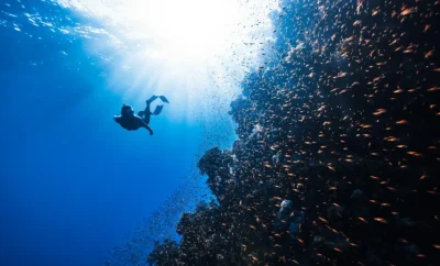 Best La Jolla Scuba Diving Activities You Can’t Miss in San Diego